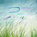 Danny Fish Photo 14