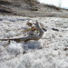 Michelle Winters Photo 22