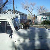 Jesse Meredith Photo 23