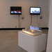 Julie Arnold Photo 14