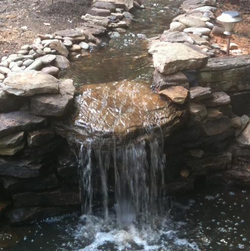Kim Mcdaniel Photo 5