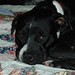 Lisa Dukes Photo 27