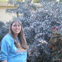 Janet Hoffman Photo 38