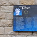 Anna Lyons Photo 12