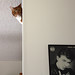 David Kirby Photo 21