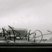 Christopher Connolly Photo 16