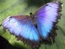Teresa Worley Photo 34