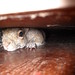 Jacklyn Winters Photo 8
