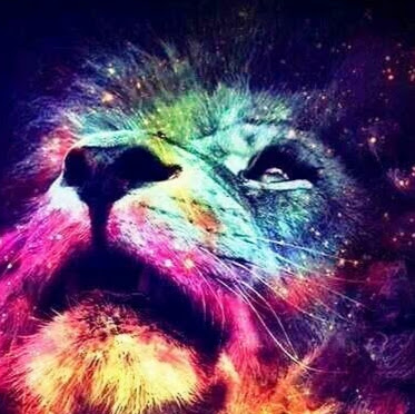 Roxana Acosta Photo 14