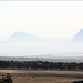 Newton Johnson Photo 19