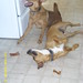 Roy Wiley Photo 16