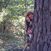 Carolyn Davidson Photo 27