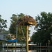 David Gessner Photo 34