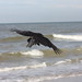 Ann Vogel Photo 26