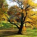 Terry Anders Photo 19