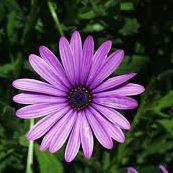 Martha Bean Photo 32