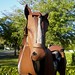 James Burnes Photo 33