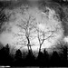 Daniel Colvin Photo 16