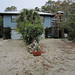 Michelle Sandlin Photo 3