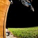 Eric Wolfe Photo 21