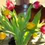 Peggy Schmidt Photo 31
