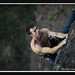 David O'Donnell Photo 12