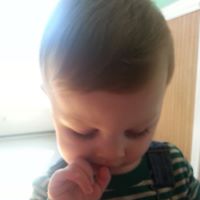 Elizabeth Hutchins Photo 33