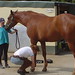 Angela Thornton Photo 24