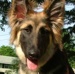 Cathy Rhoades Photo 6