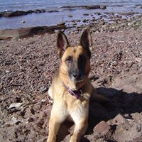 Deborah Frosch Photo 4