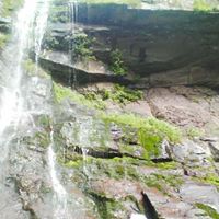 Thomas Melius Photo 8
