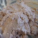 Cathy Pate Photo 10