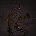 Angelo Colon Photo 14