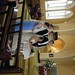 Jennifer Scally Photo 10