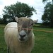 Gina Dyer Photo 12