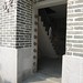 Wai Tang Photo 14