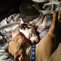 Amy Osterberg Photo 3