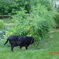 Anne Breen Photo 25