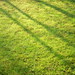 April Green Photo 16