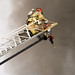 Richard Lemmons Photo 16