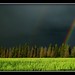 Bob Storm Photo 29