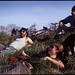 Allison Mason Photo 11