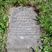 Susan Cate Photo 16