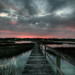 Robert Pawley Photo 8