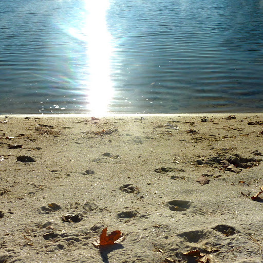 Cindy Parker Photo 31