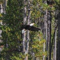 Joann Curtis Photo 13