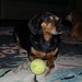 Emily Ball Photo 21