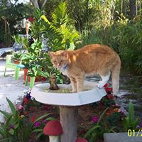 Susan Roderick Photo 26