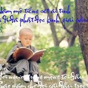 Phat Huynh Photo 21