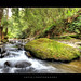 Artie Green Photo 17